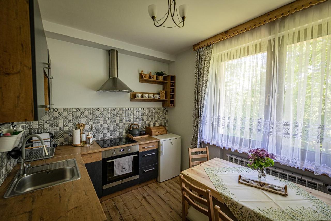 Zacisze Pod Reglami & Sauna Apartment Zakopane