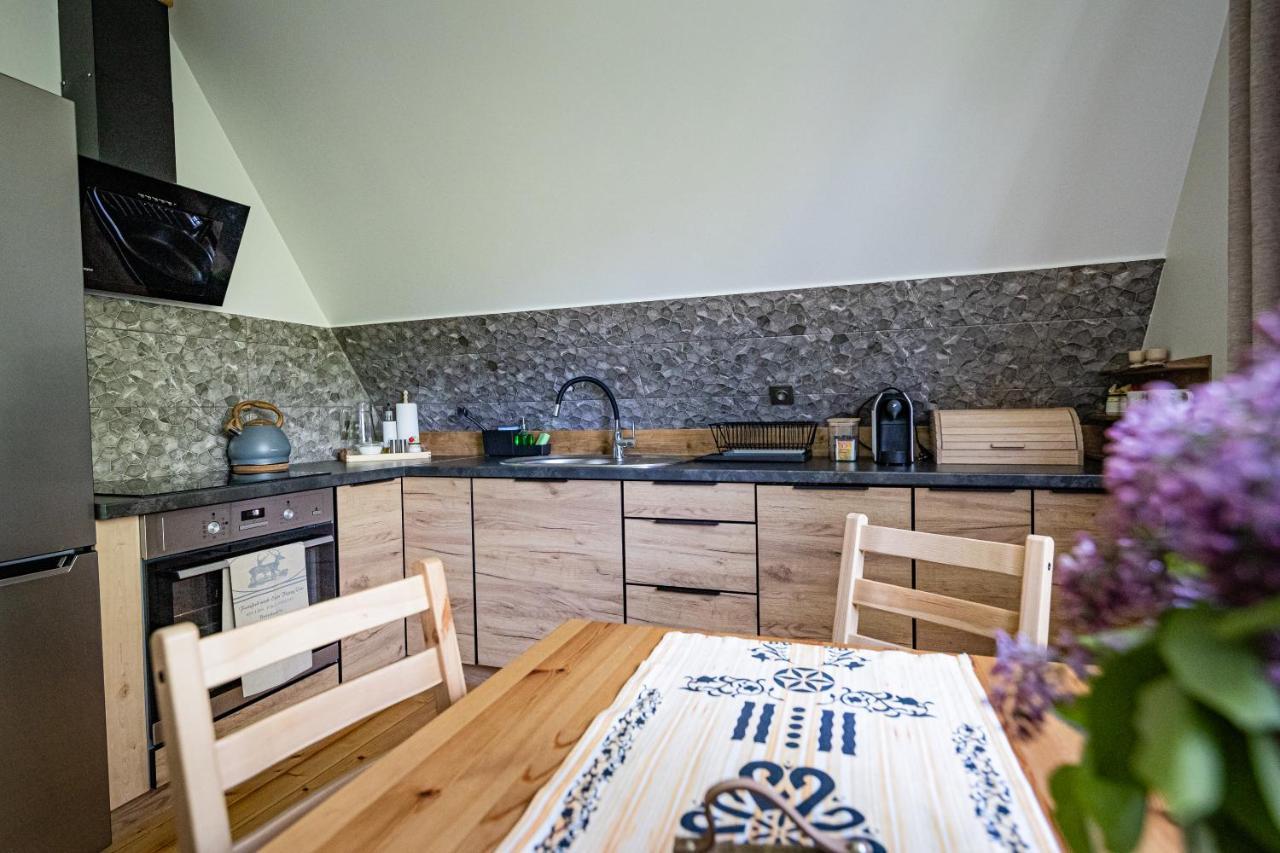Zacisze Pod Reglami & Sauna Apartment